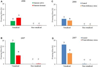 Insights into the Drought and Heat Avoidance Mechanism in Summer-Dormant Mediterranean Tall Fescue